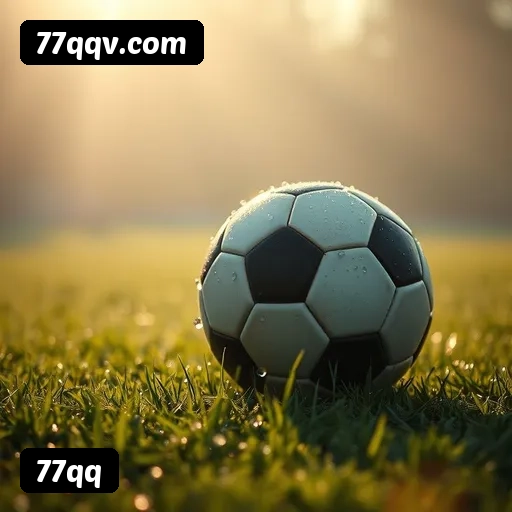 Níveis do programa VIP da 77qq